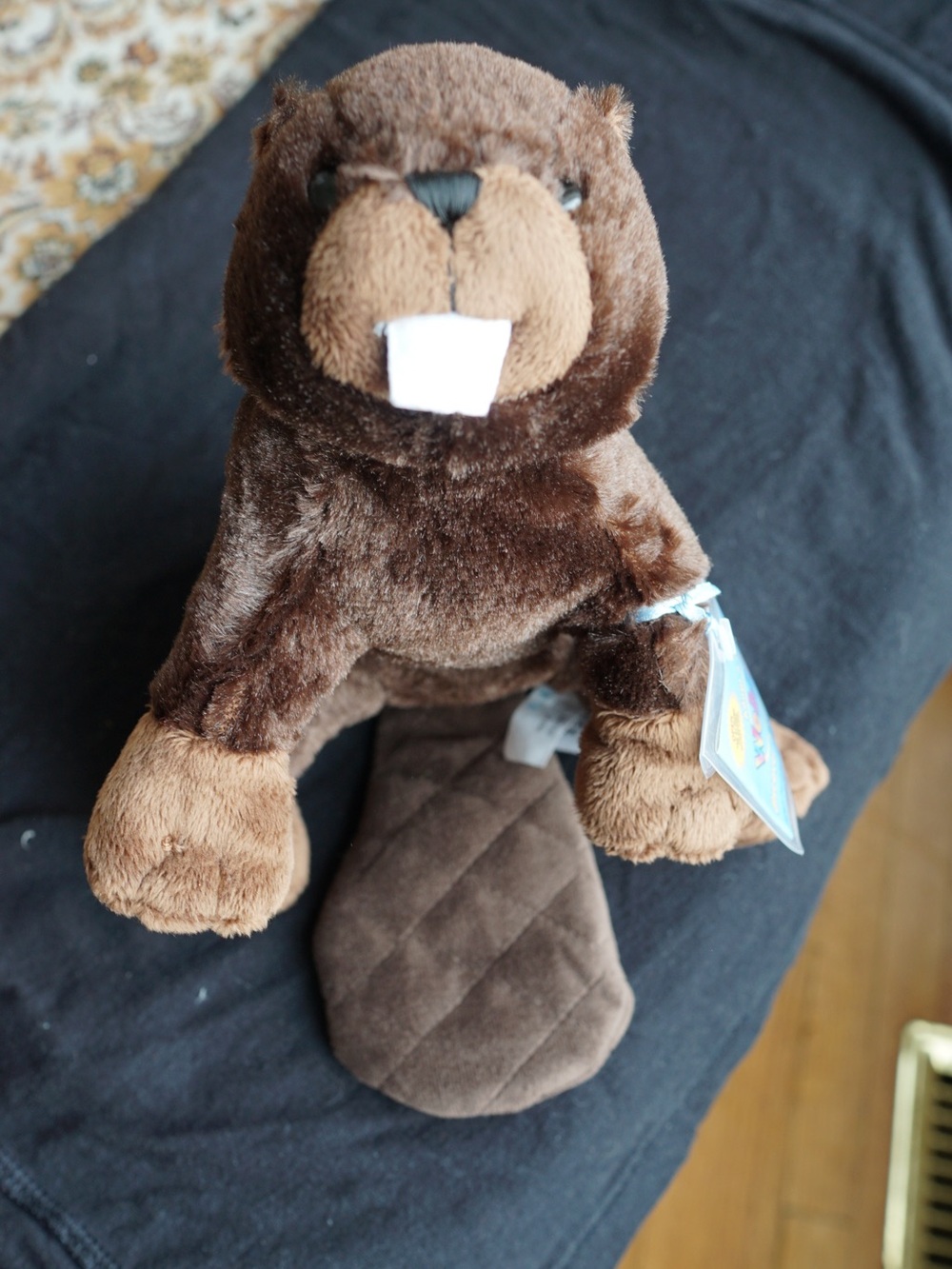 5 webkinz